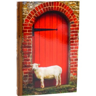 Novo Testamento NAA em Oferta na Shopee