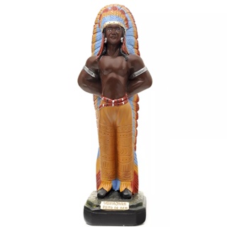 Imagem Caboclo Ubirajara Peito de Aço 23 cm Gesso Escultura em Oferta na Shopee