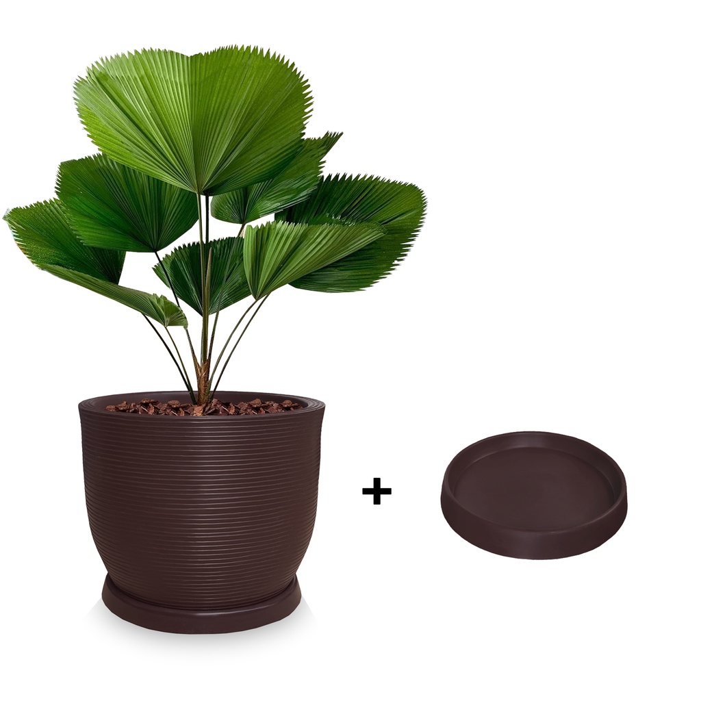 Vaso de Planta Redondo Largo Para Frutiferas Decorativo Moderno P/ Casa em Polietileno Plastico R 45x50 + Prato