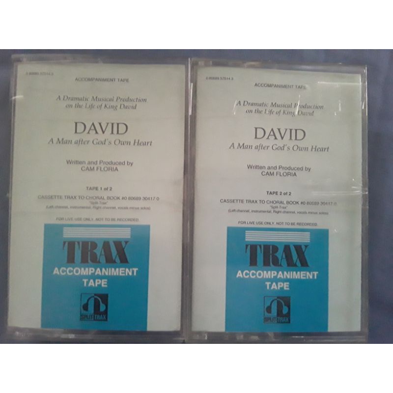 David  - A Man After God's Heart by Cam Floria K7 Playback Importados