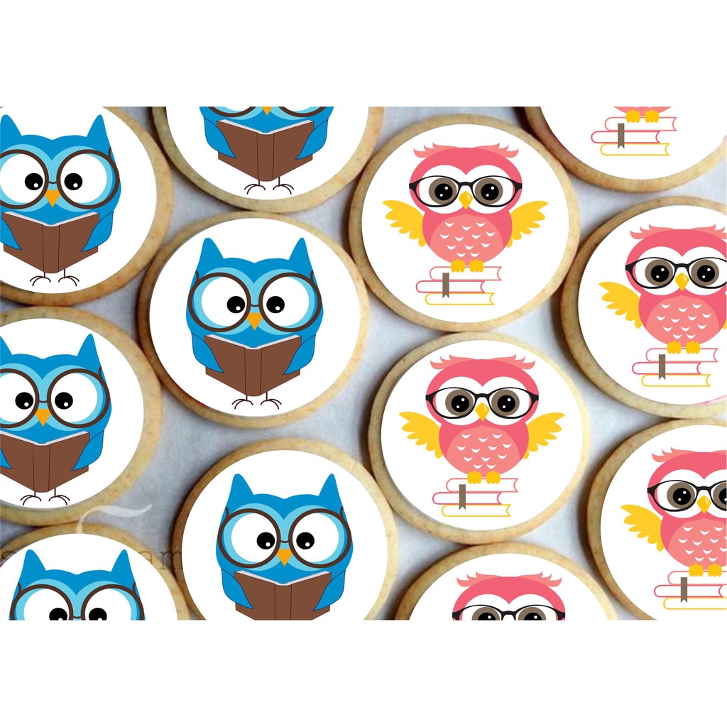 Papel arroz CORTADO para Pirulito de Isomalt ou Cupcake ou Bolacha ou Chocolate 5cm com 20 imagens por folha - Tema Coruja