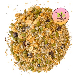Mix de Sementes Funcional - Abóbora, Girassol, Gergelim, Linhaça, Chia, Amendoim, Nozes e Uva Passa