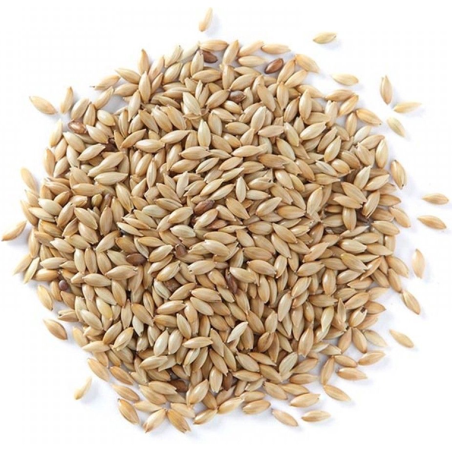 Alpiste Consumo Humano 500gr- Leite de Alpiste em Oferta na Shopee