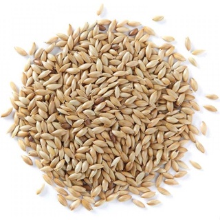 Alpiste consumo Humano 1kg- leite de alpiste Pronta Entrega em Oferta na Shopee