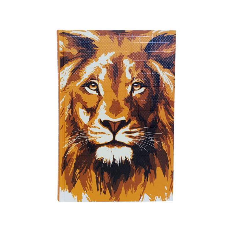 Bíblia Aslam Gold | NAA | Letra Grande | Capa Dura em Oferta na Shopee