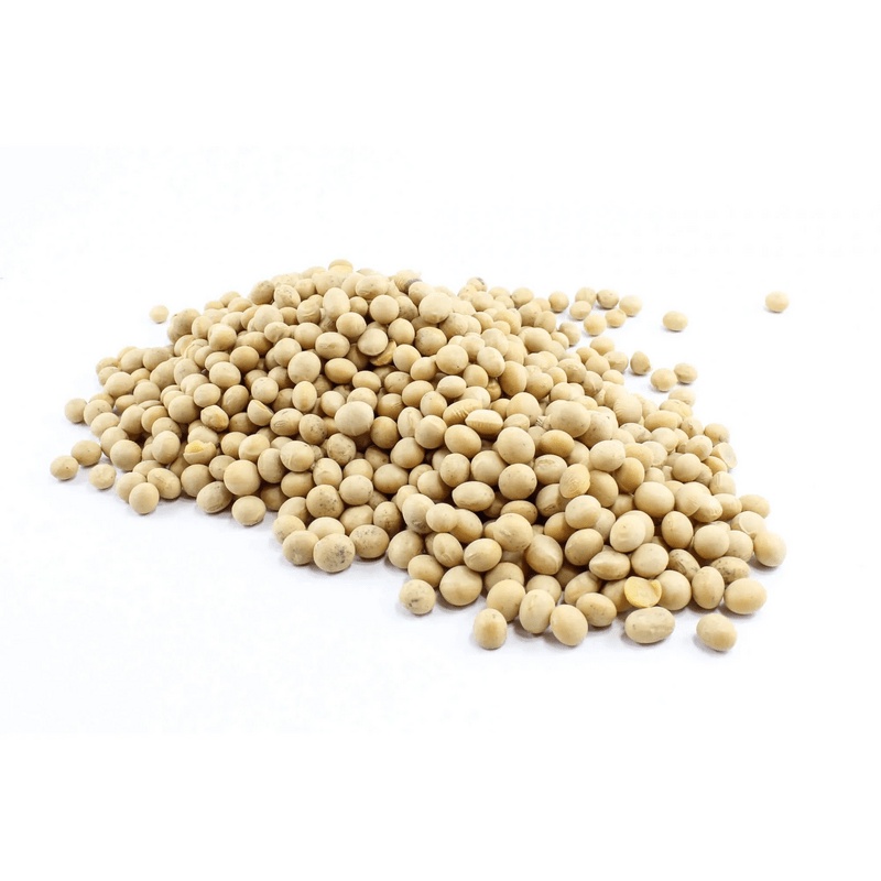 Soja em Grãos Não Transgênica Pronta Entrega 500 gr em Oferta na Shopee