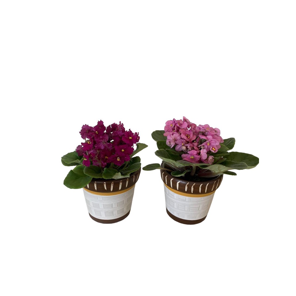 2 Vasos Cachepot Para Plantas, Suculentas Decoração Arranjo - Vaso Para Violeta de Cerâmica Pintada