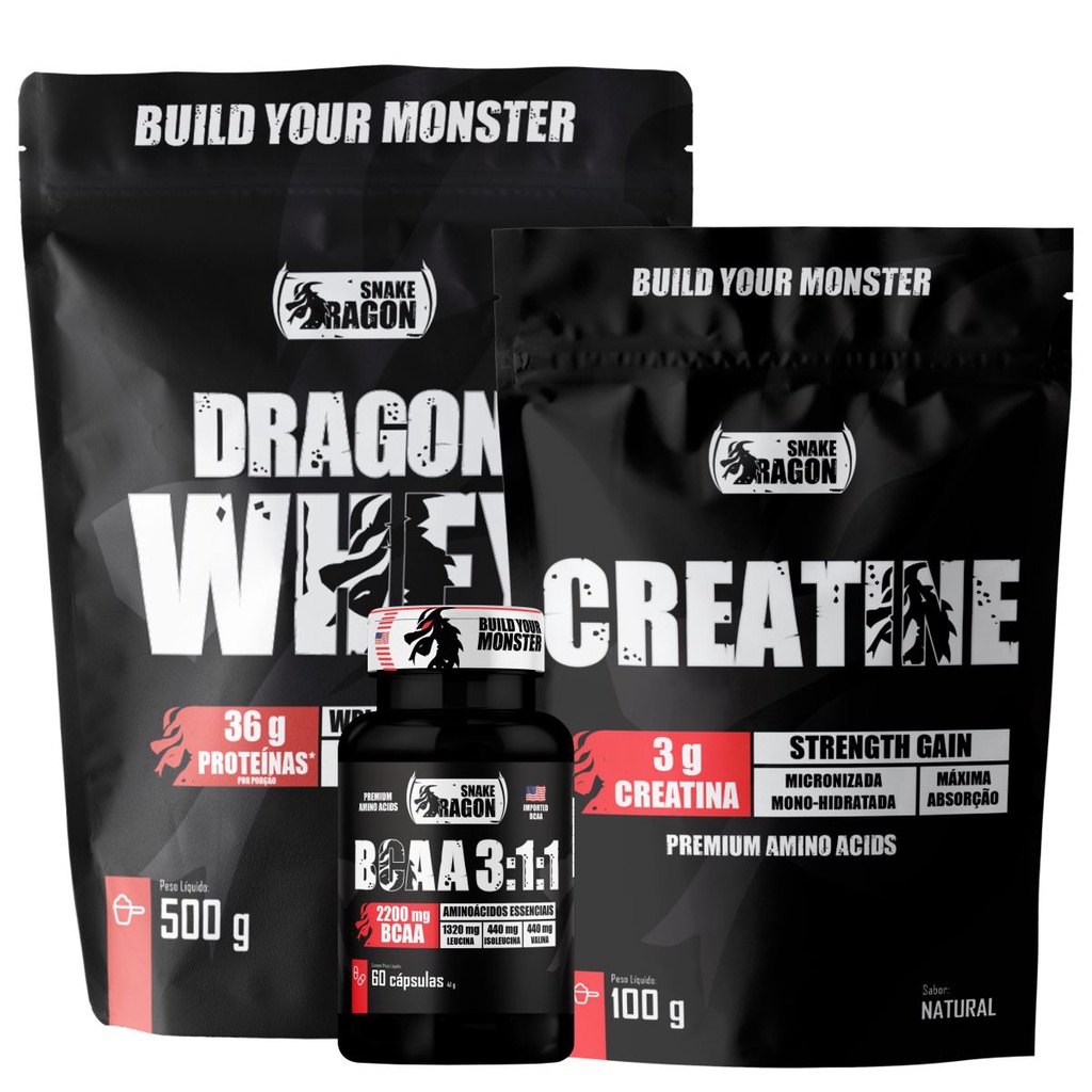 Dragon Whey 500g + Creatina 100g + BCAA 311