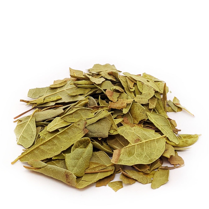 Boldo Do Chile Em Folhas Chá Remédio Elimina Toxinas em Oferta na Shopee