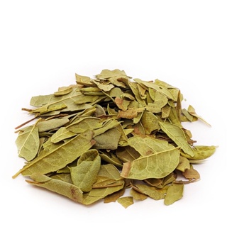 Boldo Do Chile Em Folhas Chá Remédio Elimina Toxinas em Oferta na Shopee