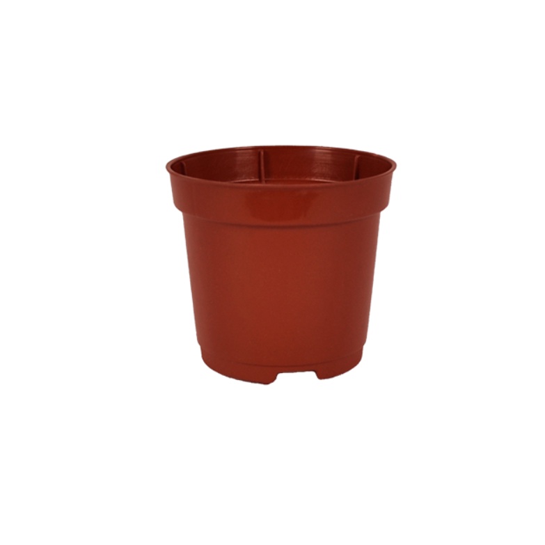1 Vasinho Pote Numero 6 De 80 Ml Marrom para Suculentas Mini Plantas Cactos