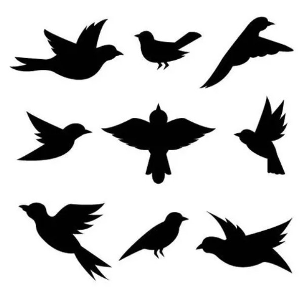 32un Adesivo Parede Vidro Vidraça Anticolisão Pássaros PASSARINHOS em Oferta na Shopee