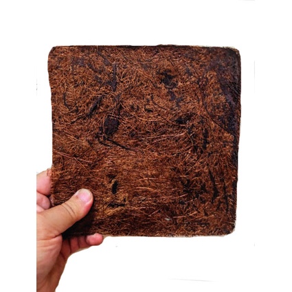 PLACA FIBRA DE COCO BARATO 20cm Excelente orquídeas,Chifre de veado,bromélias entre outras