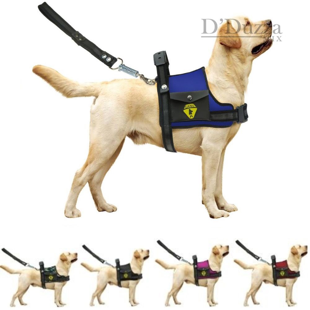 Coleira Cachorros C/ Bolso Golden Retriever Pastor Alemão Doberman