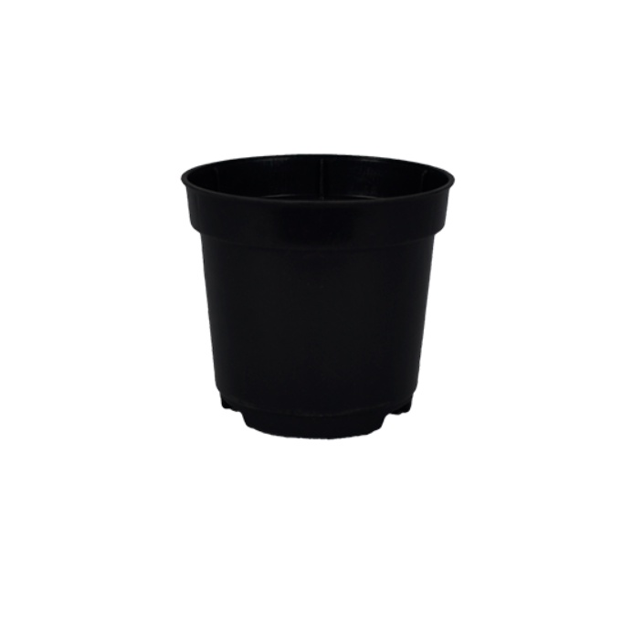 1 Vasinho Pote Numero 6 De 80 Ml Preto para Suculentas Mini Plantas Cactos
