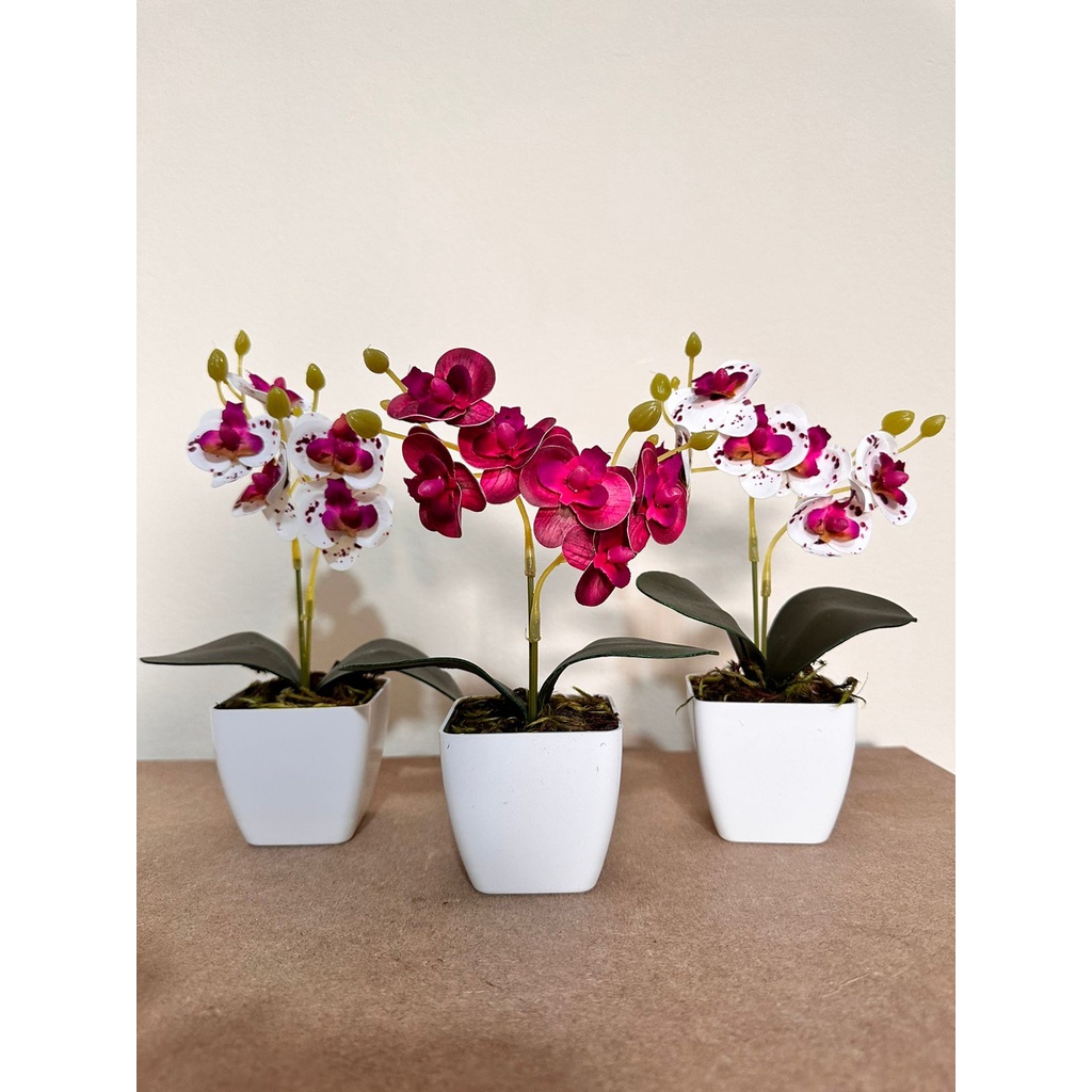kit três vasinhos mini arranjo de orquídeas permanentes efeito real decoração