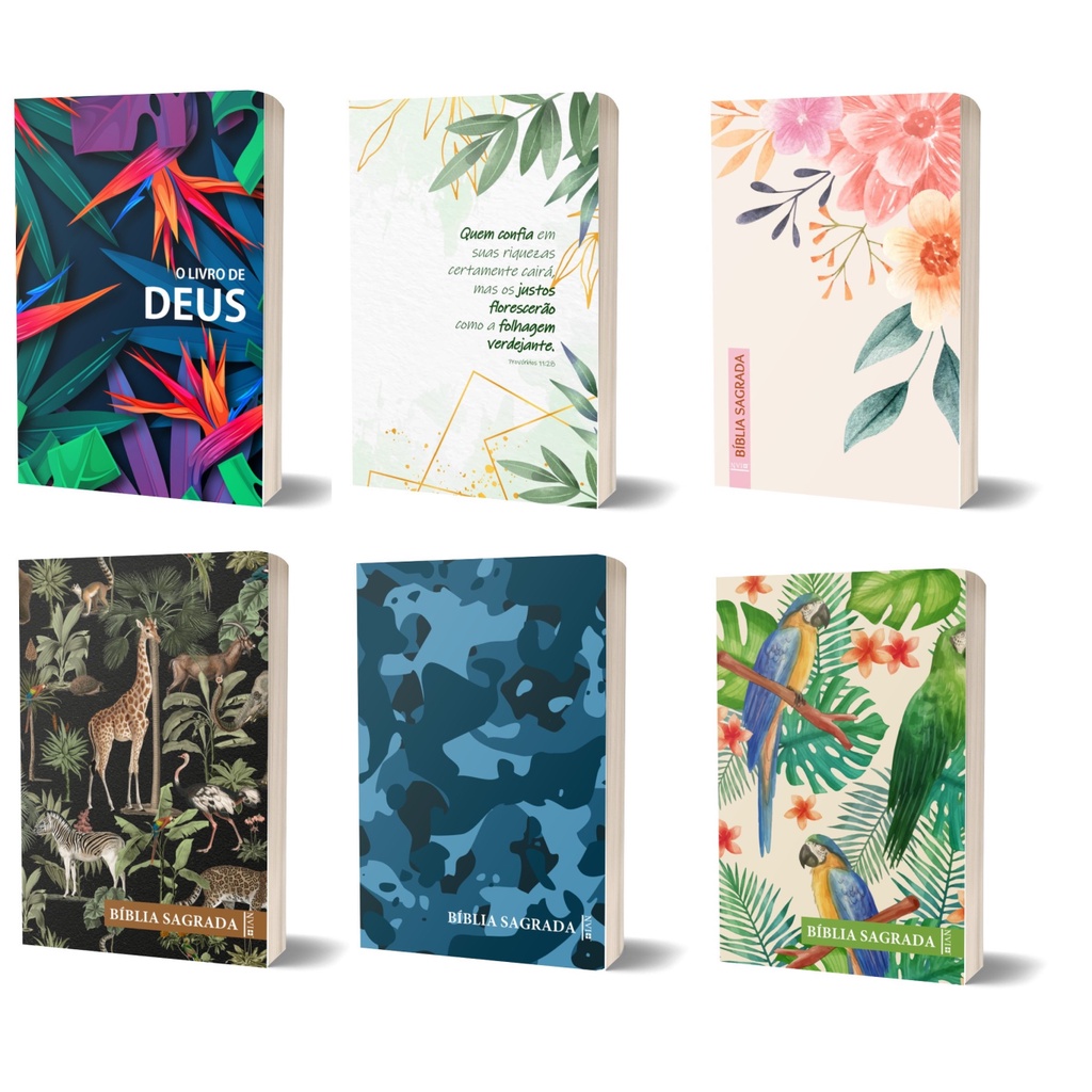 Bíblia Sagrada NVI - 6 capas diferentes - Nova Versão Internacional - Plano leitura