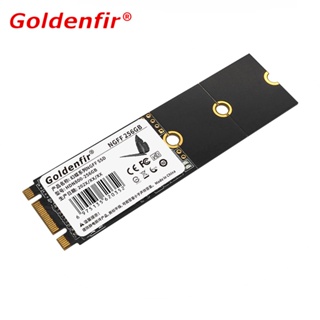 Goldenfir SSD 128GB 256GB 480GB NGFF M . 2 2280 Para Atualização em Oferta na Shopee