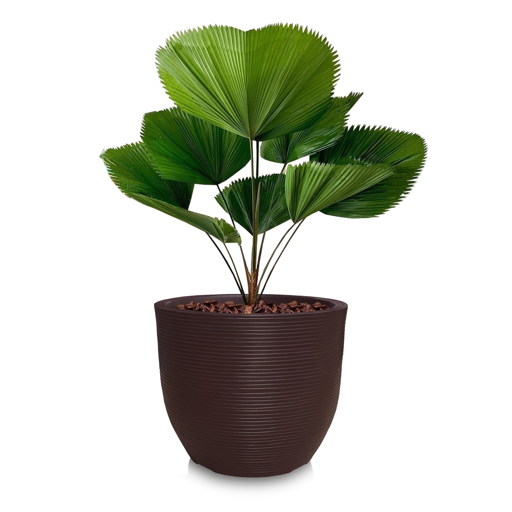 Vaso de Planta Redondo Largo Para Frutiferas Decorativo Moderno P/ Casa Polietileno Plastico R 45x50