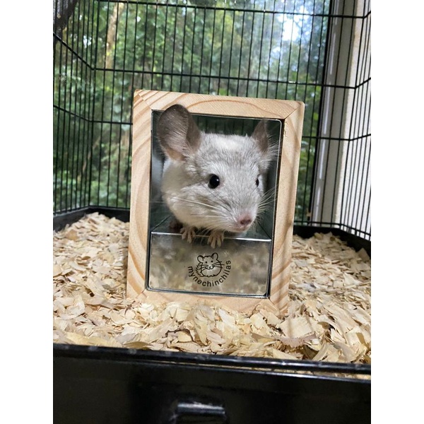 Toca climatizada com Madeira em Oferta na Shopee