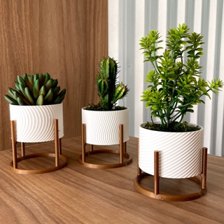 Trio de Vasos Cachepot com Suporte Para Cactos ou Suculentas em Oferta na Shopee