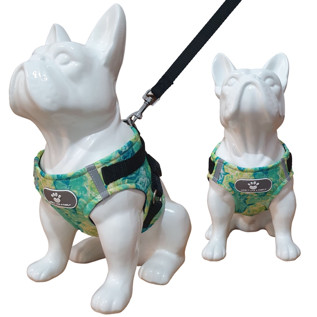 Peitoral coleira para cachorro com guia para pet pequenos e médios colete confortável trela arreio para pet
