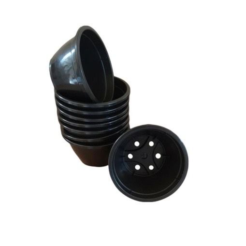 100 MINI Cuias N°8 PRETA para Suculentas Cactos Jardim Jardinagem Plantas Mudas