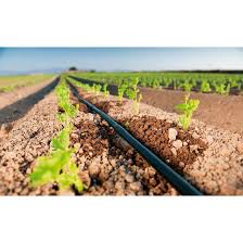 Mangueira Irrigação Preta Tubo 1/2  x 200mt Linha Amarela