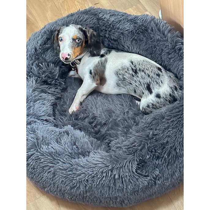 Caminha Nuvem Pet Cama Redonda Para Cachorro Gato Tam Grande 70 cm
