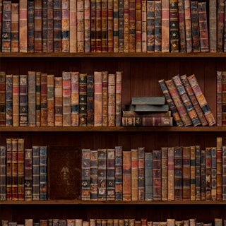 Papel De Parede Adesivo Biblioteca Acervo De Livros Sala Quarto Escritório Decoração Casa em Oferta na Shopee