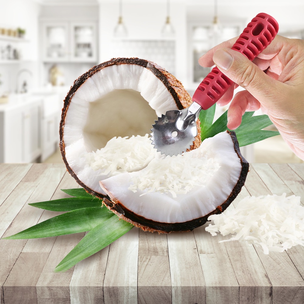 Ralador de Coco Seco Raspador Manual de Inox com Cabo Plástico Ideal para  cocadas, tapiocas, bolos e muito mais  Keita 18 cm