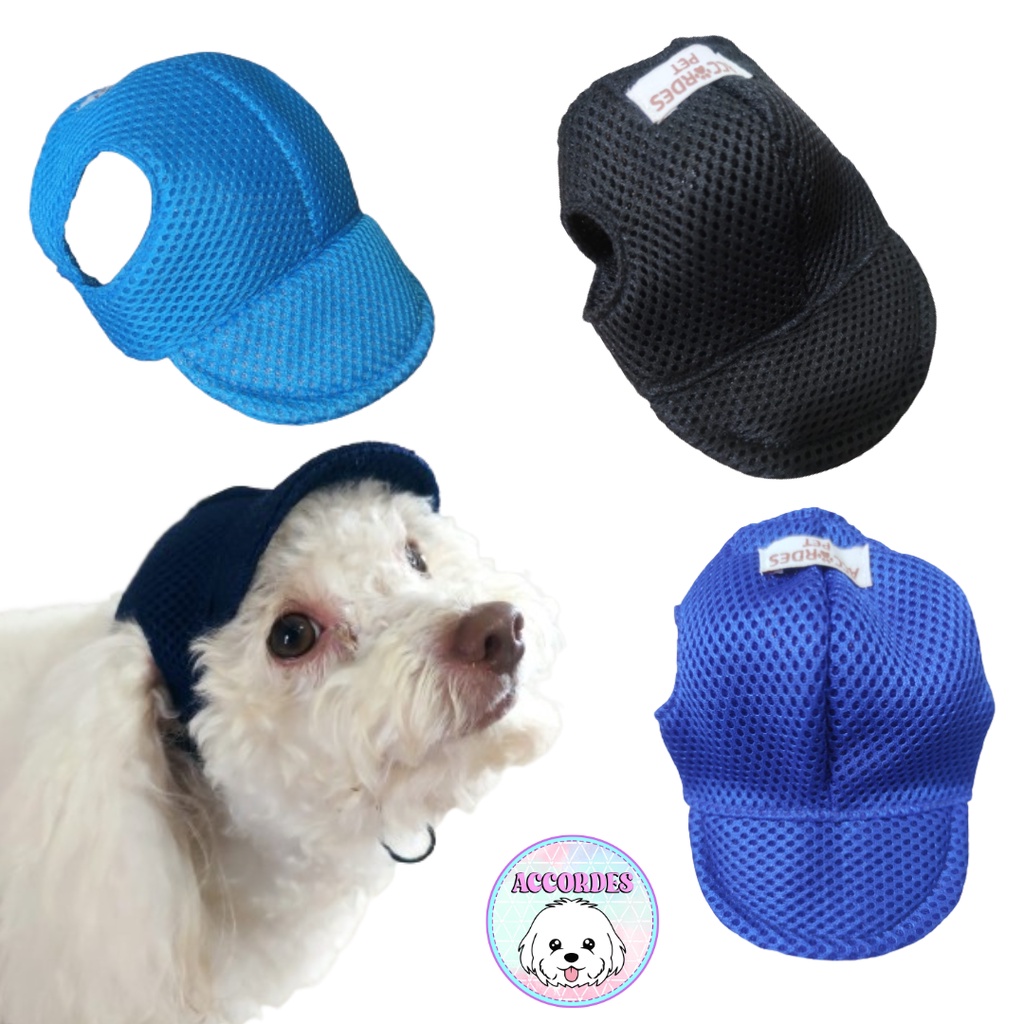 Boné Pet /Viseira Pet - Boné Cachorro/Gato em Oferta na Shopee