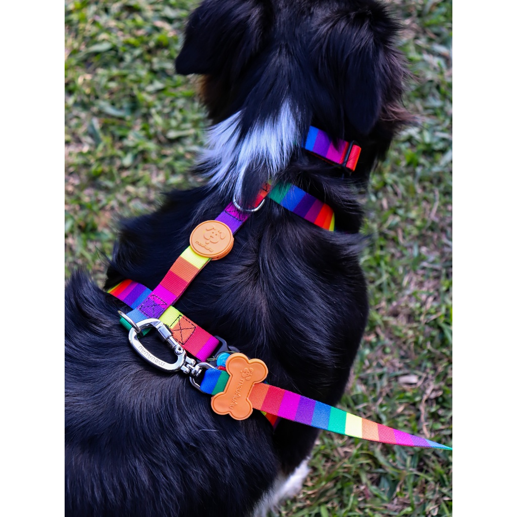 Kit Peitoral H + Guia meuAuAu para cachorro  RAÇAS PEQUENAS ShihTzu Lhasa Maltês Cavalier  Poodle
