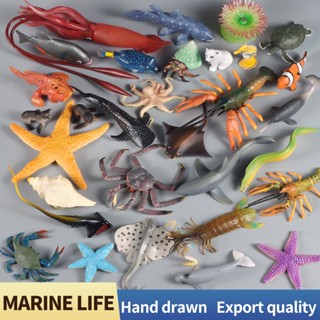 Mini Animais Da Vida Marinha Tartaruga Tubarão Golfinhos Leão Marinho Selo De Peles Lagosta Modelo De Ação Figuras Aquário Oceano Educação Kids Toys
