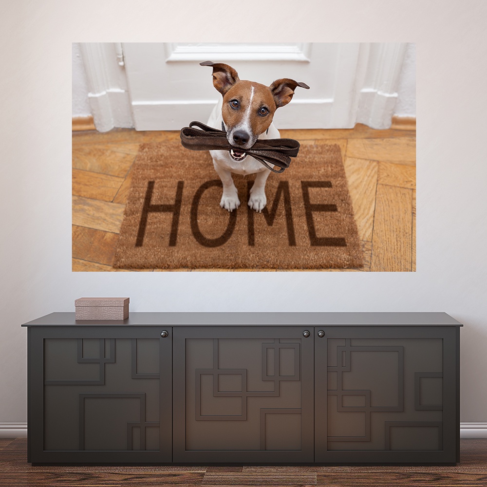 Painel Adesivo Decorativo de Parede Cachorro Pet Shop Veterinário Animais Casa Sala Quarto - 780pn