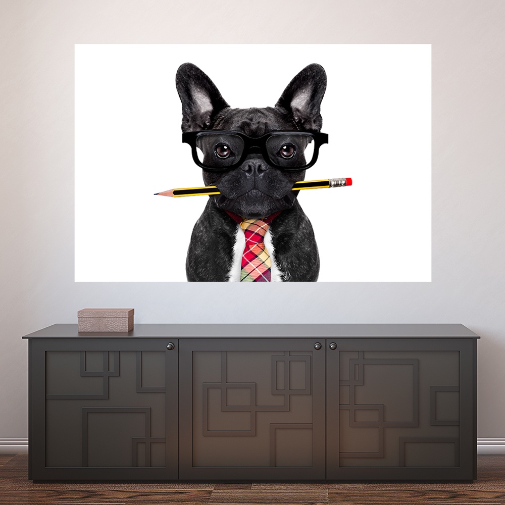 Painel Adesivo Decorativo de Parede Cachorro Pet Shop Veterinário Animais Casa Sala Quarto - 776pn