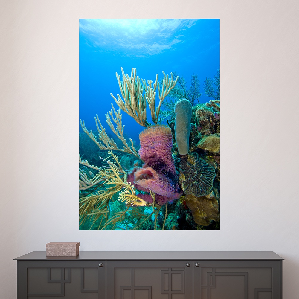 Painel Adesivo Decorativo de Parede Fundo do Mar Natureza Mundo Casa Sala Quarto - 1449pn