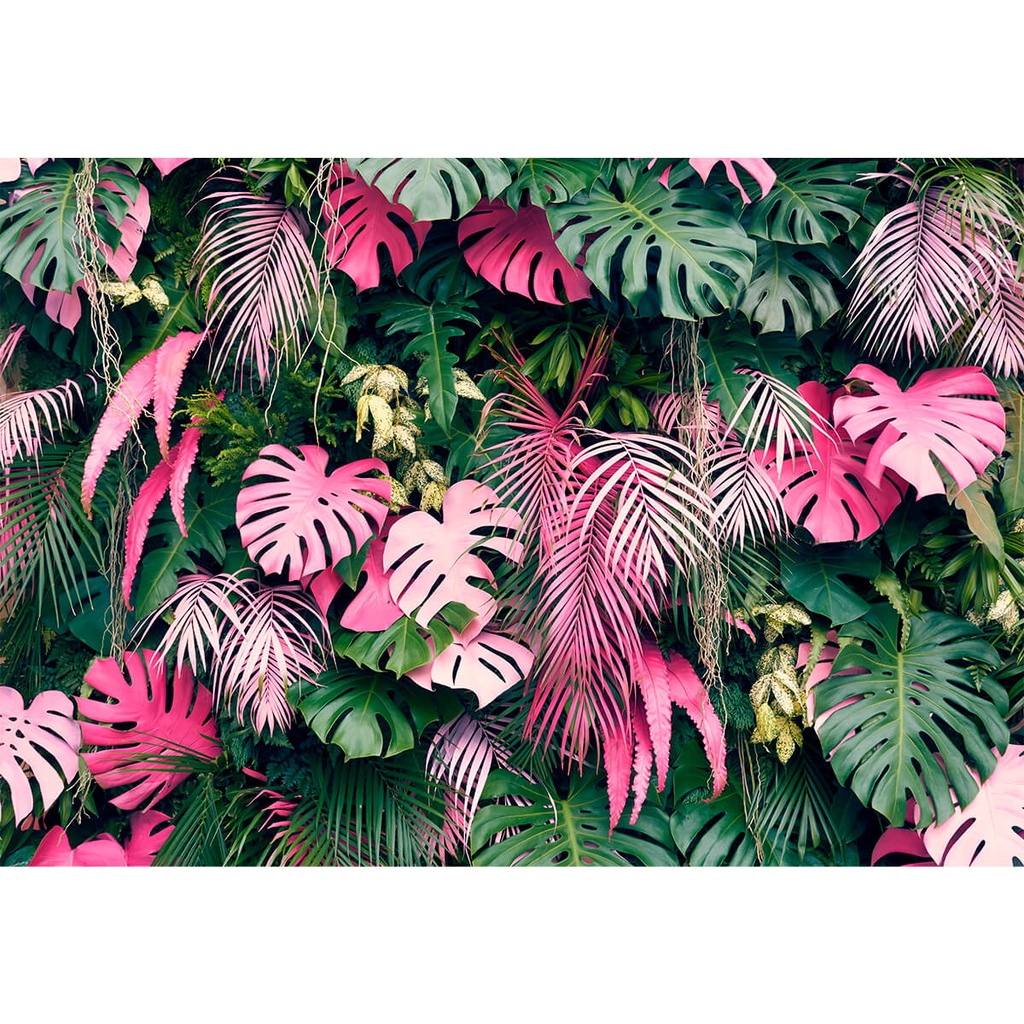 Papel de Parede Personalizado Jardim Vertical Rosé Para Qualquer Ambiente em Oferta na Shopee