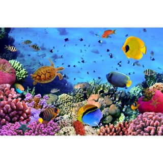 Papel De Parede Fundo Mar Decoração Quarto Casa Infantil Juvenil em Oferta na Shopee