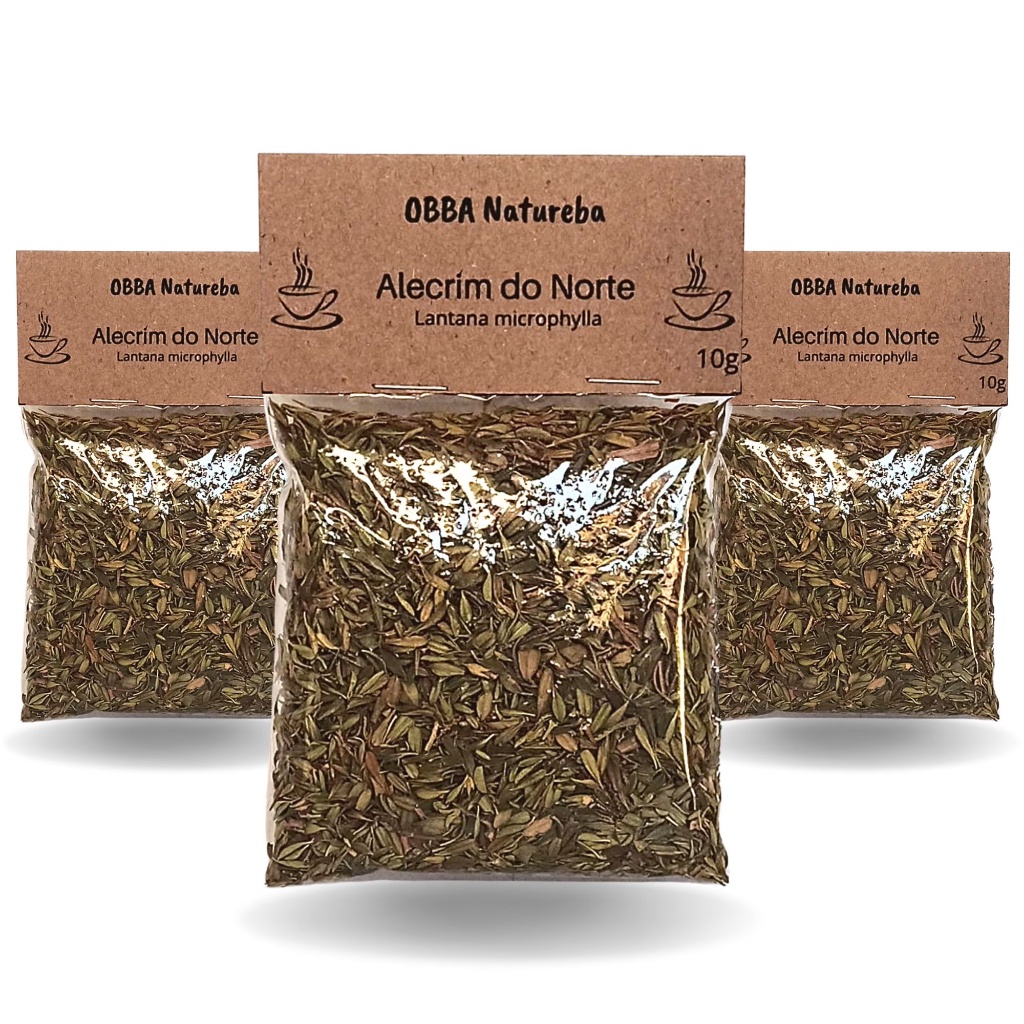 3 Chás Alecrim Norte Erva 100% Natural Alecrim-do-Sertão chá