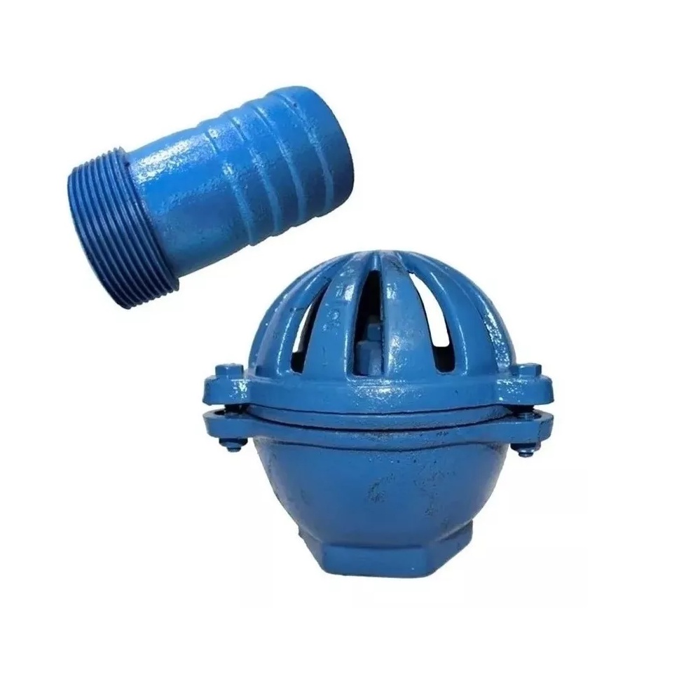 Kit Válvula Pé Ferro 2 Pol para Bomba agua + Espigão Ferro 2 Pol em Oferta na Shopee