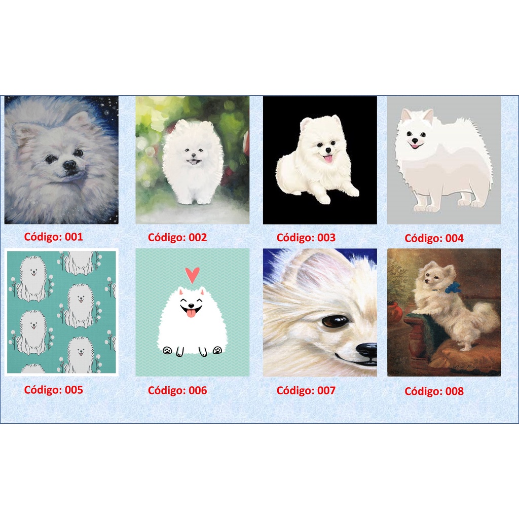 Cachorro Lulu da Pomerania Branco: Onde Comprar | BuscaProdutos