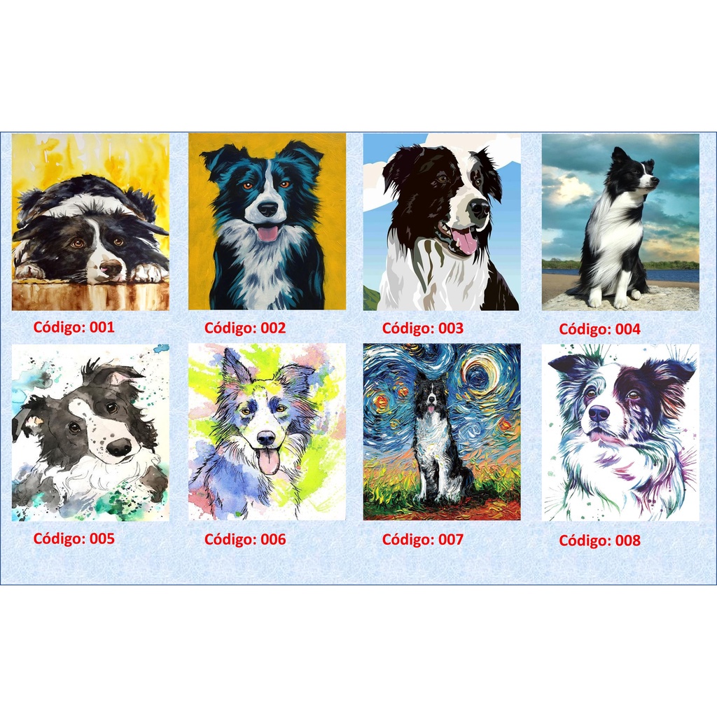 Border Collie Tamanho: Onde Comprar | BuscaProdutos