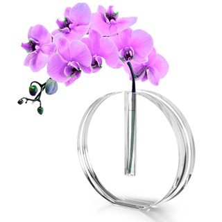 ​Vaso de acrílico redondo 15x15cm transparente para plantas flores decoração festas arranjos durável em Oferta na Shopee