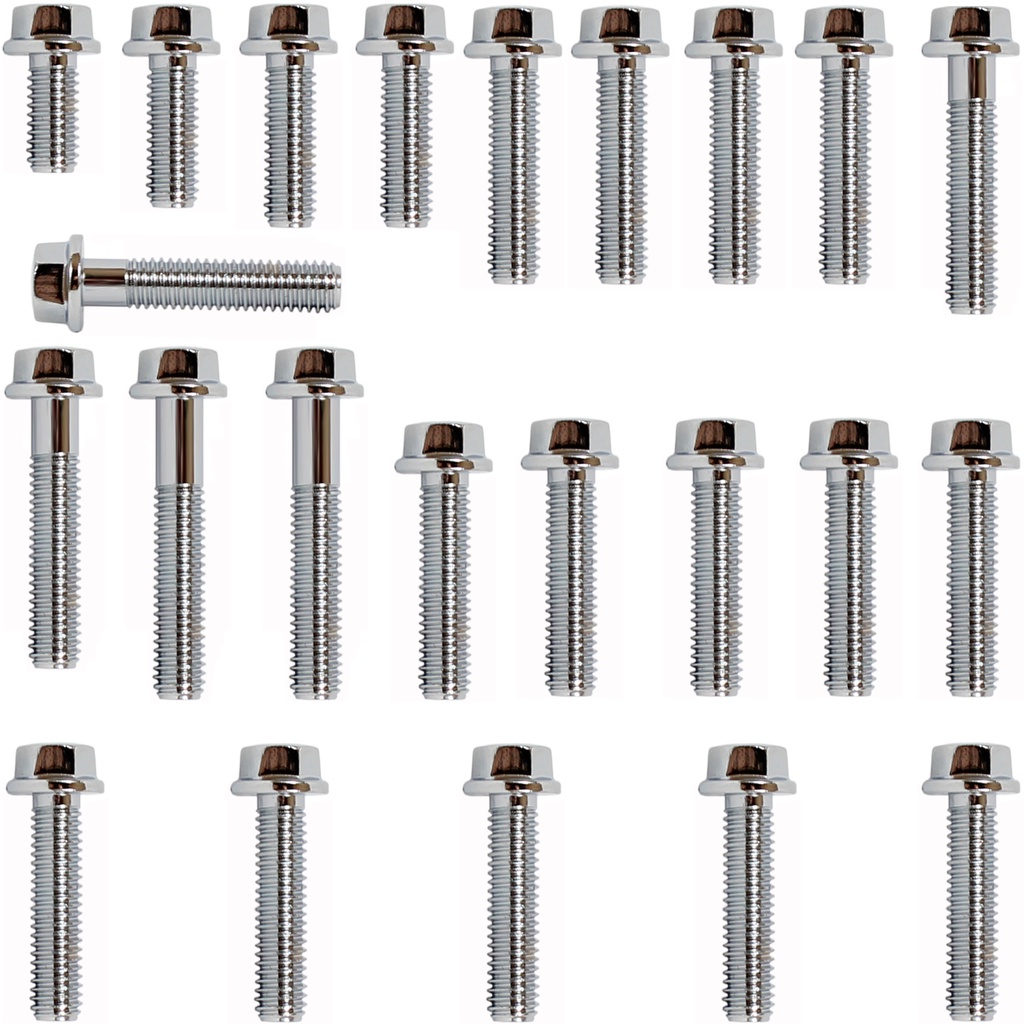 Kit parafusos cromados tampa motor lateral esquerda+direita CBX 200 CBX200 Strada 1993 a 2003 XR200R 1994 a 2003 NX 200 NX200TERMINAR