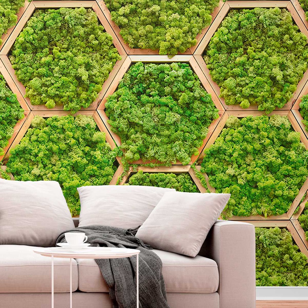 Papel de Parede 3M Tapete de Musgo 3D Verde Geométrico Estilo Jardim Botanico Adesivo Auto Colante em Oferta na Shopee