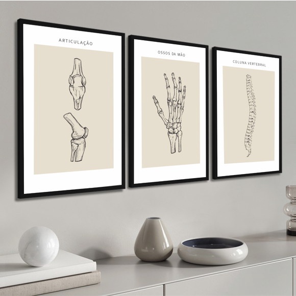 Kit 3 Quadros Anatomia Medicina Médicos Corpo Humano Kt com 3 peças, Quadro decorativo