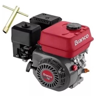 MOTOR ESTACIONÁRIO 220V B4T 7HP MANUAL GASOLINA BRANCO COM ALERTA