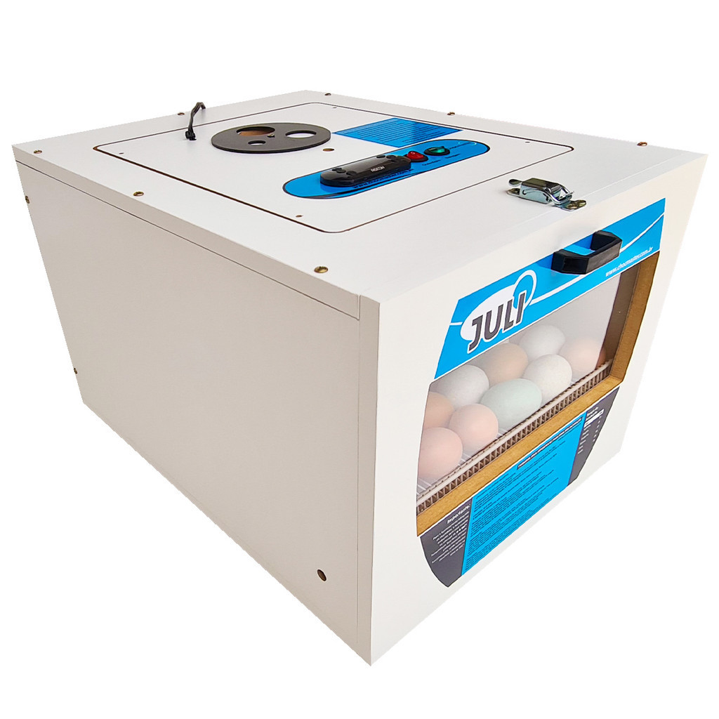Chocadeira  Automática digital Juli 70 Com Ovoscópio em Oferta na Shopee