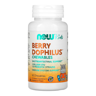 BerryDophilus Infantil Now Foods 60 Chewable Importado em Oferta na Shopee